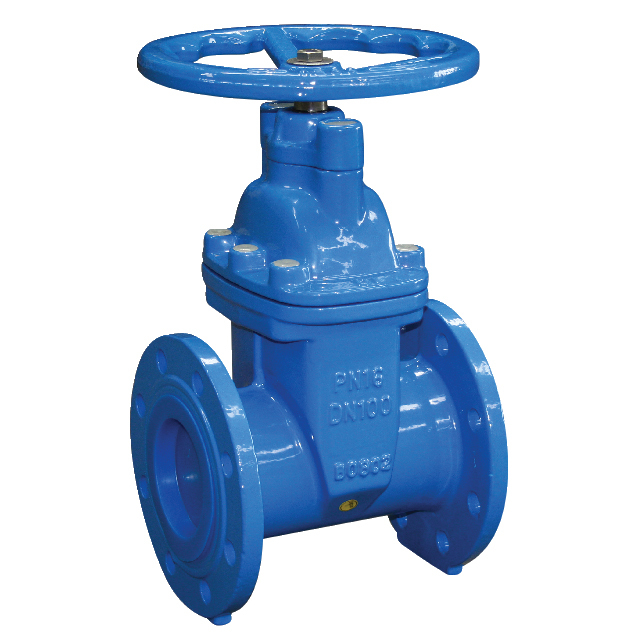 Ductile Iron Gate Valve